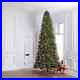 12_ft_Douglas_Fir_Pre_lit_Traditional_Artificial_Christmas_Tree_Holiday_Living_01_oeu