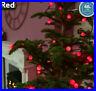 200_1000_Red_Led_Mains_Berry_String_Fairy_Lights_Christmas_Tree_Xmas_Decoration_01_bjes