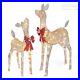 2PCS_Christmas_Deer_Reindeer_160_LED_Light_Lawn_Yard_Xmas_Outdoor_Decoration_01_ng