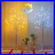 2_Pack_4FT_Smart_Color_Changing_LED_Birch_Christmas_Trees_96_Lights_for_Indoo_01_ykbb