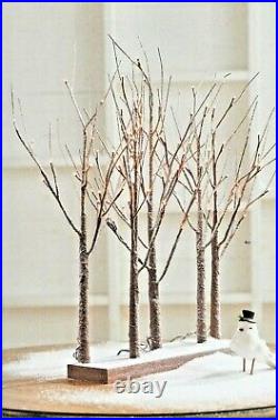 30 CHRISTMAS Warm White LED LIGHTED TREE GROVE Steady Twinkle RAZ 3800926 NEW