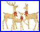 3_Piece_Lighted_Christmas_Deer_Set_Outdoor_Decor_with_LED_Lights_Xmas_Hollidays_01_gmc