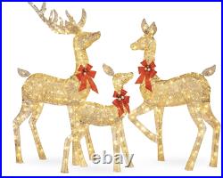 3-Piece Lighted Christmas Deer Set Outdoor Decor with LED Lights Xmas Hollidays