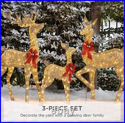 3-Piece Lighted Christmas Deer Set Outdoor Decor with LED Lights Xmas Hollidays