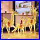 3_Piece_Lighted_Christmas_Reindeer_Family_Decoration_with360_Warm_White_LED_Lights_01_scfo