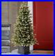 4_5_ft_Pre_Lit_Aspen_Artificial_Potted_Christmas_Tree_FREE_SHIPPING_01_lte