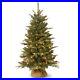 4_Christmas_Tree_Pre_Lit_With_150_White_Lights_Burlap_Base_For_Tabletop_Porch_01_lvw