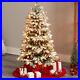 4_Flocked_North_Carolina_Fir_Artificial_Christmas_Tree_with250_LED_s_Retail_218_01_ndq