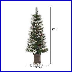 4' Potted Loveland Spruce with 50 Clear White Lights (Set of 2)