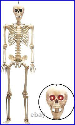 5.6FT/3FT Halloween Skull Skeleton Human Full Life Size Bone LED Eye Party Decor
