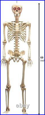 5.6FT/3FT Halloween Skull Skeleton Human Full Life Size Bone LED Eye Party Decor