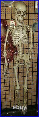 5ft Halloween Skull Skeleton Human Full Life Size Prop Party Decor