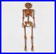 60_Posable_Pumpkin_Skeleton_Halloween_Decorative_Mannequin_Hyde_EEK_NEW_01_vfls