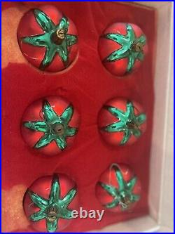 6 Cortopassi Family Tomato Christmas Ornaments 2003 Buon Natale Beautiful