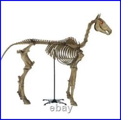 6 ft Life Size Standing Skeleton Horse Halloween Home Accents IN HAND