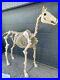 6_ft_Life_Size_Standing_Skeleton_Horse_Halloween_Prop_Decor_Glowing_Eyes_01_ha