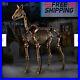 6_ft_Life_Size_Standing_Skeleton_Horse_Halloween_Prop_Home_Accents_Depot_01_pdh