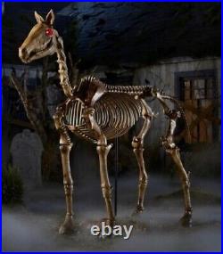 6 ft Life Size Standing Skeleton Horse Halloween Prop Home Accents Home Depot