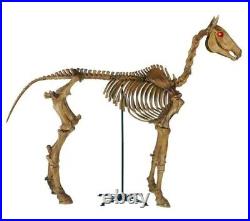 6 ft Life Size Standing Skeleton Horse Halloween Prop Home Accents Home Depot