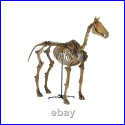 6 ft Life Size Standing Skeleton Horse Halloween Prop Home Depot