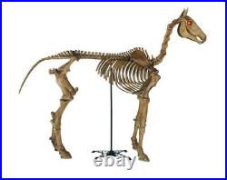 6 ft Life Size Standing Skeleton Horse Halloween Prop Home Depot? Home Accents