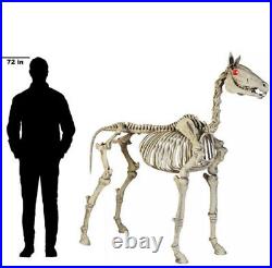 6ft Halloween Standing Skeleton Horse Ghost Glowing Eyes Home Depot Accents
