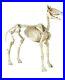 6ft_Halloween_Standing_Skeleton_Horse_Ghostly_Prop_Decor_Glowing_Eyes_6_ft_01_clg