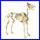 6ft_Halloween_Standing_Skeleton_Horse_Ghostly_Prop_Decor_Glowing_Eyes_6_ft_01_ws