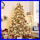 6ft_Pre_Lit_Artificial_Christmas_Tree_with_Flocked_Snow_LED_Holiday_Xmas_Decor_01_ekm