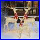 76_Inches_1_9m_Indoor_Outdoor_Christmas_Reindeer_Family_Set_of_3_with_656_LEDs_01_emm