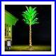 7FT_LED_Lighted_Palm_Trees_for_Outside_Patio_Artificial_Palm_Trees_with_Ligh_01_vwyq
