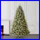 7_5_Hayden_Pine_Pre_Lit_Christmas_Tree_700_Warm_White_3199_Branch_Tips_01_ikqq