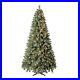 7_5_ft_Pre_Lit_Liberty_Pine_Artificial_Christmas_Tree_Color_Changing_LED_Lights_01_yg