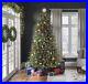 7_5ft_Grand_Duchess_Balsam_Full_2250_LED_Christmas_Tree_TIKTOK_Read_Description_01_sp