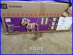 7 FOOT Skeleton Dog Skelly's Home Accent Halloween 2024 Home Depot IN HAND