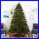 9_Colorado_Mountain_Pine_Artificial_Christmas_Tree_with650_LED_Retail_1023_01_jtdt