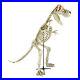 9_Skeleton_T_Rex_Dinosaur_Lighted_Sound_Motion_Activated_Halloween_New_Rare_01_wg