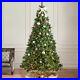 9_ft_Mixed_Spruce_Pre_Lit_Hinged_Artificial_Christmas_Tree_with_Glitter_01_mukf