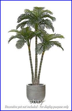 AMERIQUE Gorgeous 6.3 Feet Standable Triple Trunk Artificial Palm Tree Real