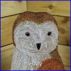 Acrylic Owl Christmas Outdoor Garden Decoration 56cm 100 Ice White LED's