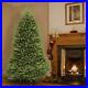 Artificial_Christmas_Tree_9_Ft_Tall_Green_Fir_with_Stand_2514_Tips_Lush_Full_01_gawh