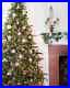 Balsalm_Hill_Classic_Blue_Spruce_5_5_Candlelight_Clear_LED_Easy_Plug_01_zes