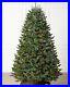 Balsam_BH_fraser_Fir_7_5_Christmas_tree_with_Multi_Colored_LED_lights_01_mil