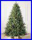 Balsam_Classic_Blue_Spruce_5_5_tree_with_LED_Color_and_Clear_lights_01_qssw