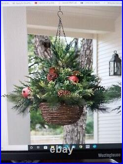 Balsam Hill 100 Fairy LED Mixed Pine Hanging Basket #4001576