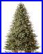 Balsam_Hill_7_5Ft_Premium_Pre_Lit_Artificial_Christmas_Tree_Traditional_Classi_01_kgcu