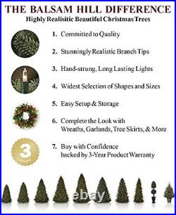 Balsam Hill 7ft Pre-Lit Norwegian Grand Fir Artificial Christmas Tree with LE