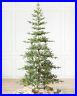 Balsam_Hill_Alpine_Balsam_Fir_Tree_Clear_LED_Fairy_Lights_Christmas_Decor_01_vvs