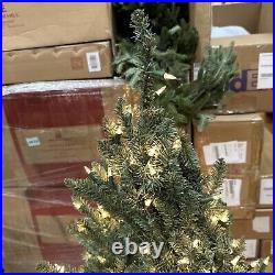 Balsam Hill Classic Blue Spruce 6 Foot Clear Lights (Each section plugs in)