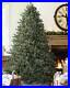 Balsam_Hill_Classic_Blue_Spruce_Height_9_Width_68_Christmas_Tree_Clear_01_pct